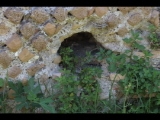 07433 ostia - regio iv - insula iii - edificio (iv,iii,2) - 2. raum von nordosten - suedostseite - detail - 06-2024.jpg